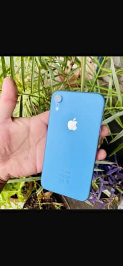 iPhone