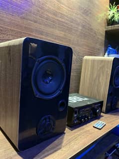 Speakers With Amp