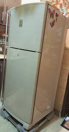 Beautiful Dawlance Refrigerator