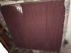 Molty Foam