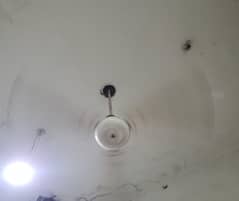 6 FANS for sale