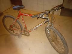 Adult size branded cycle