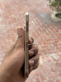 Iphone 12 pro max 128gb pta