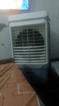 arcoolr