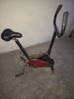exercise cycle