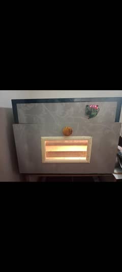 hatching machine (incubator)