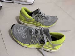 Reebok Shoe
