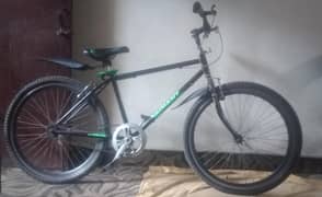 11 month used