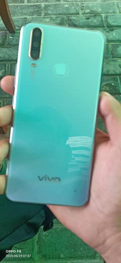 Vivo