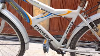 phoenix bike