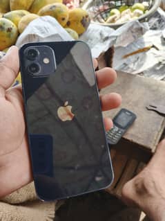 Apple iPhone 12