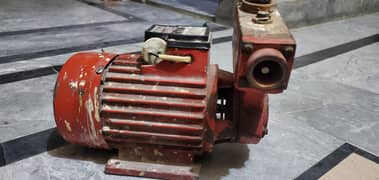 Shahzad Pump SP+