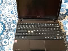 Acer