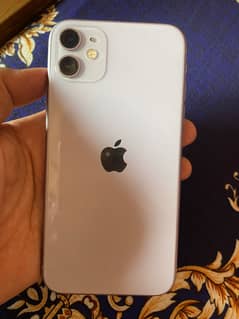 iPhone 11 OFFICIALLY PTA APPROVED