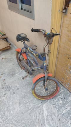 cycle for 5 to 7 year