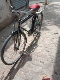 beciycle
