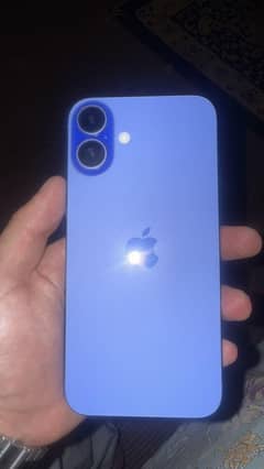 16 Plus