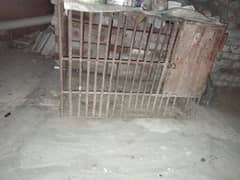 kaky