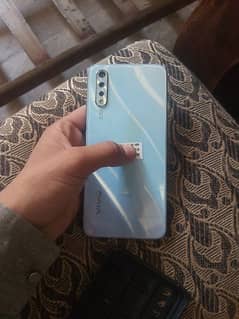 vivo