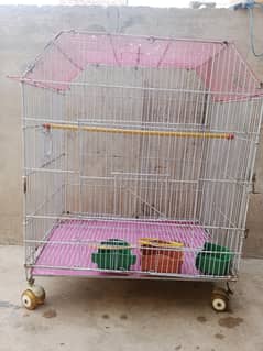 birds