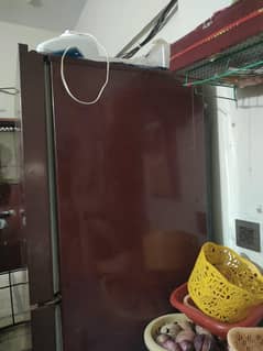 sell karni he