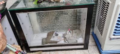 2 Shop counters for sale 20000 (WhatsApp03164002398 )