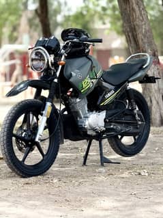 YBR 125g