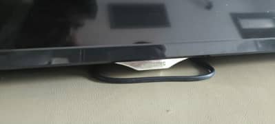 new brands Samsung