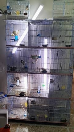 Folding cage