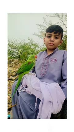 Kashmiri