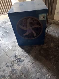 12W DC Cooler