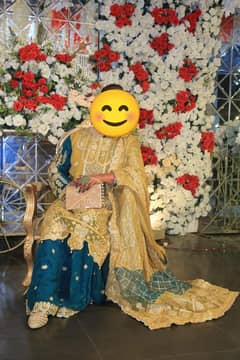 fully embroidered Nd designer work dress