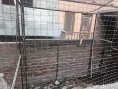 all type of animal and birds cage pinjra