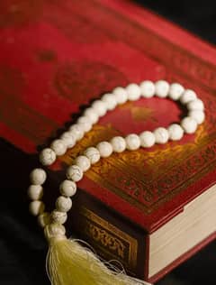 online Quran teachers