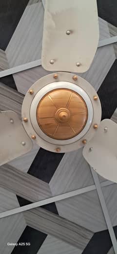 CEILLING FAN