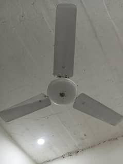 ceiling fan white color