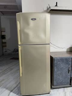 Haier fridge large size
