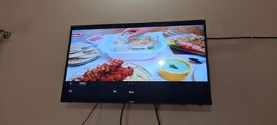 orient led