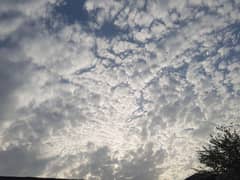 home tution
