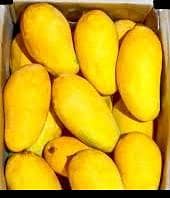 mangos