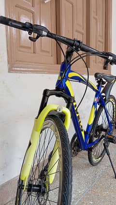 Vivelo