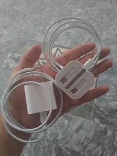 Iphone Original Chargers