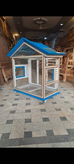 birds