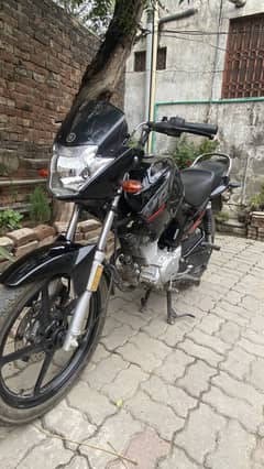 Yamaha YBR 2024