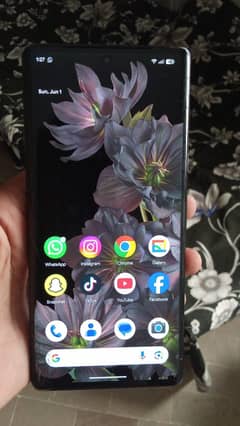 google pixel 6 pro pta approved