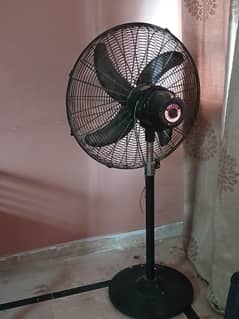 Pak Fan Stand Fan