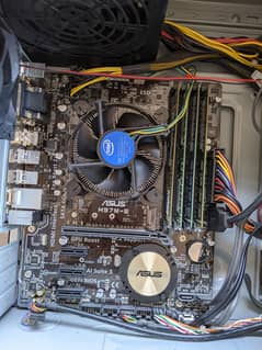 Intel