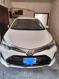 altis lover