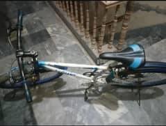 Big size bicycle color blue