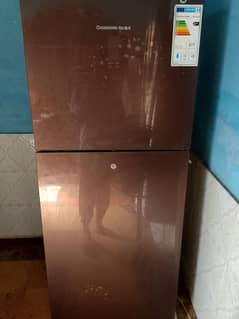 Changong ruba fridge jambo